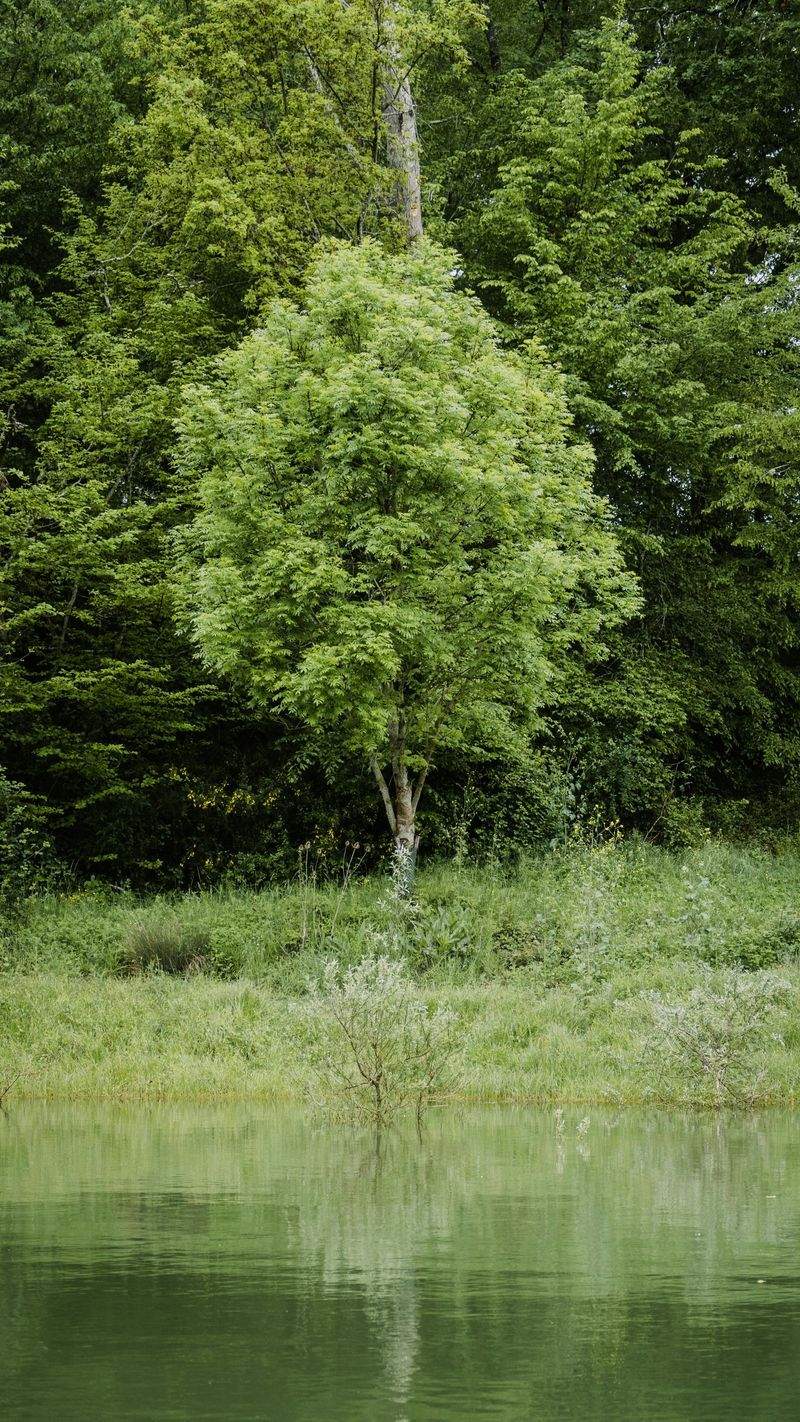 Winter-Wellness mit ätherischen Ölen: Tipps für kalte Tage