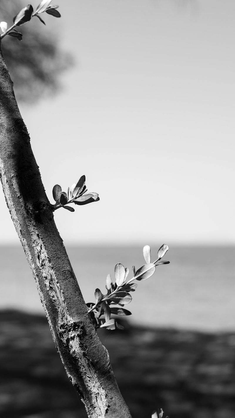 NaturWunder GmbH - Image 11