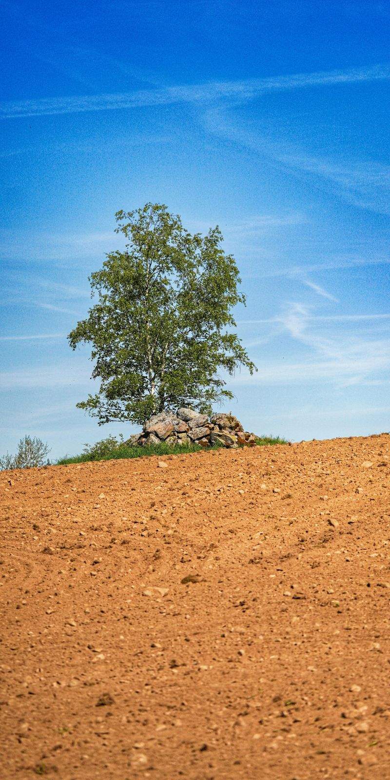 NaturWunder GmbH - Image 12