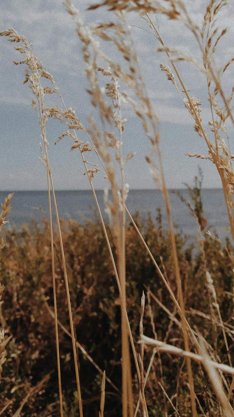 NaturWunder GmbH - Image 3