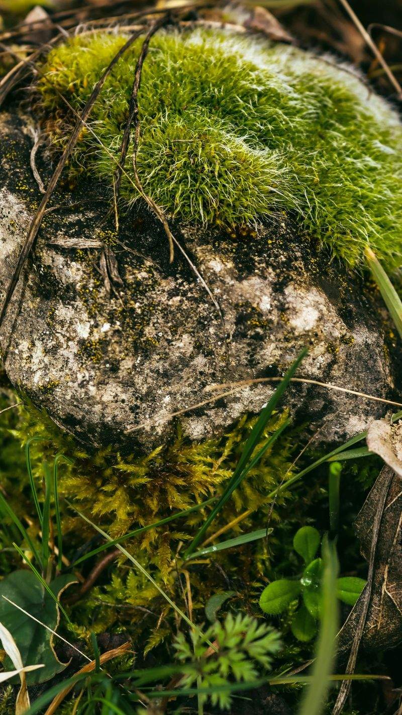 NaturWunder GmbH - Image 8